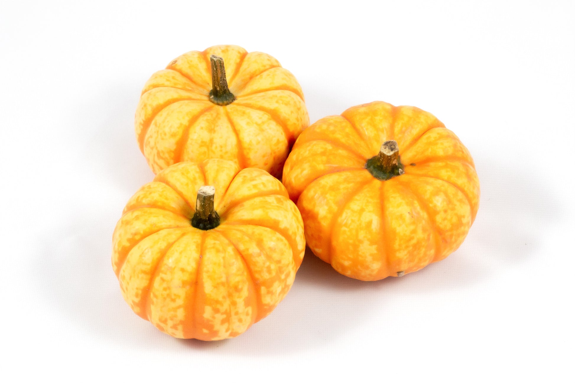 Cucurbita Spark 10cm 10cm Pot