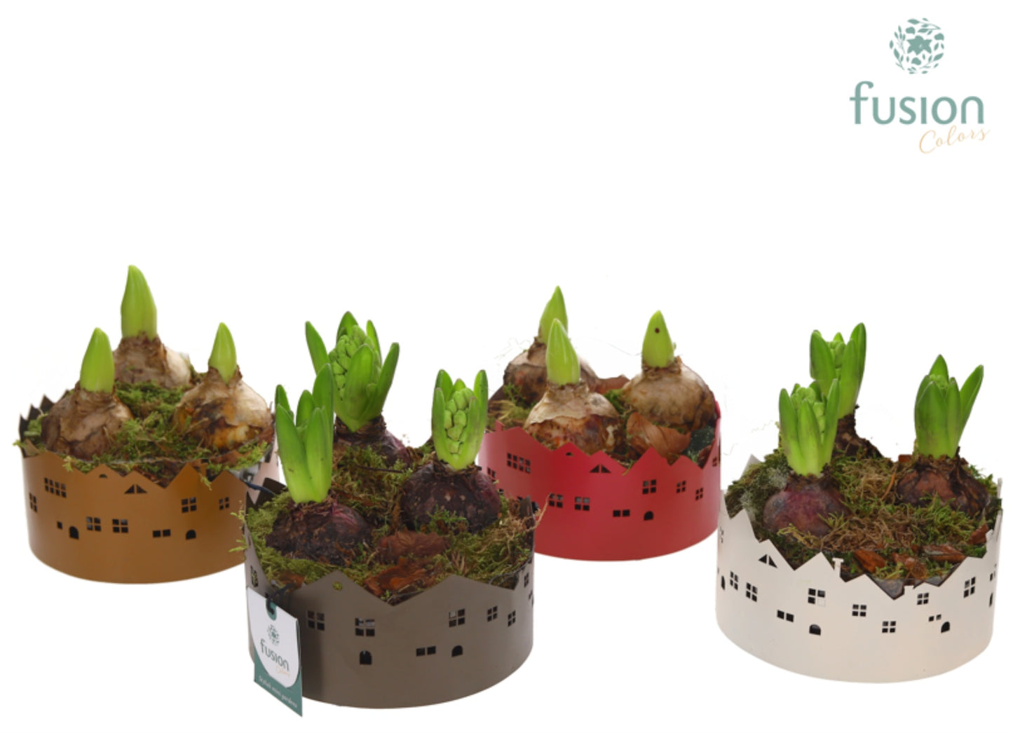 Zinken schaal Huisjes Small met Hyacinten 20cm 15cm Pot