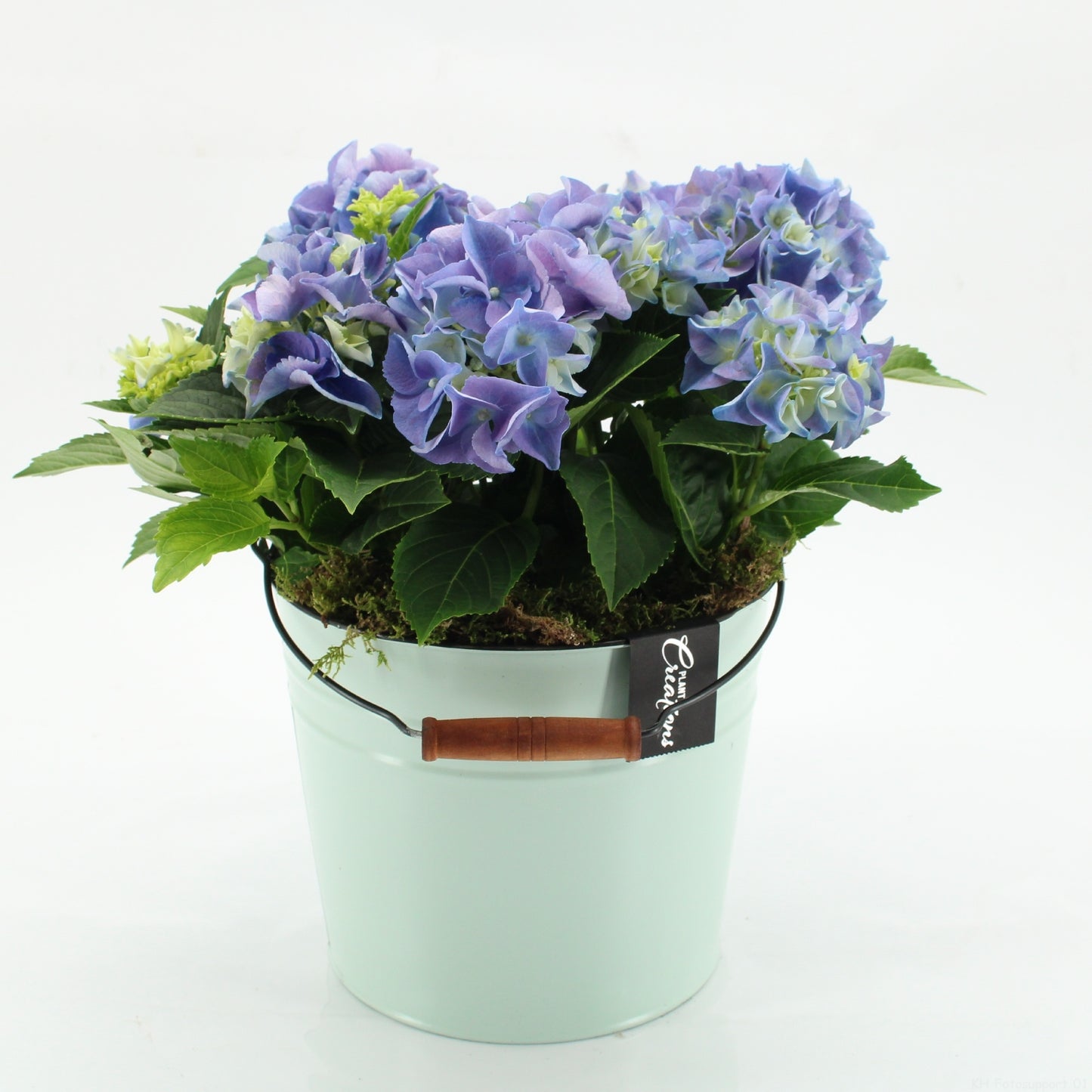 KHCR-2616B Hydrangea creations 35cm 21cm Pot