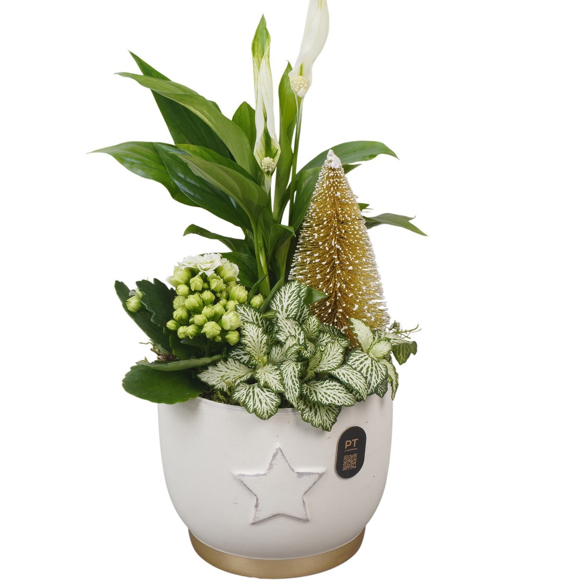 Christmas arrangement 35cm 13cm Pot