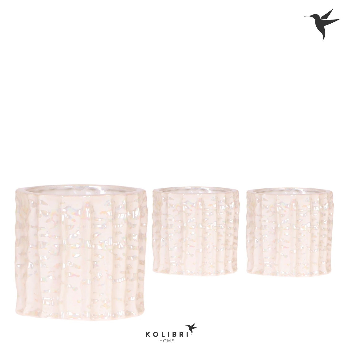 OK Plant Kolibri Home Oyster pot Pack of 6