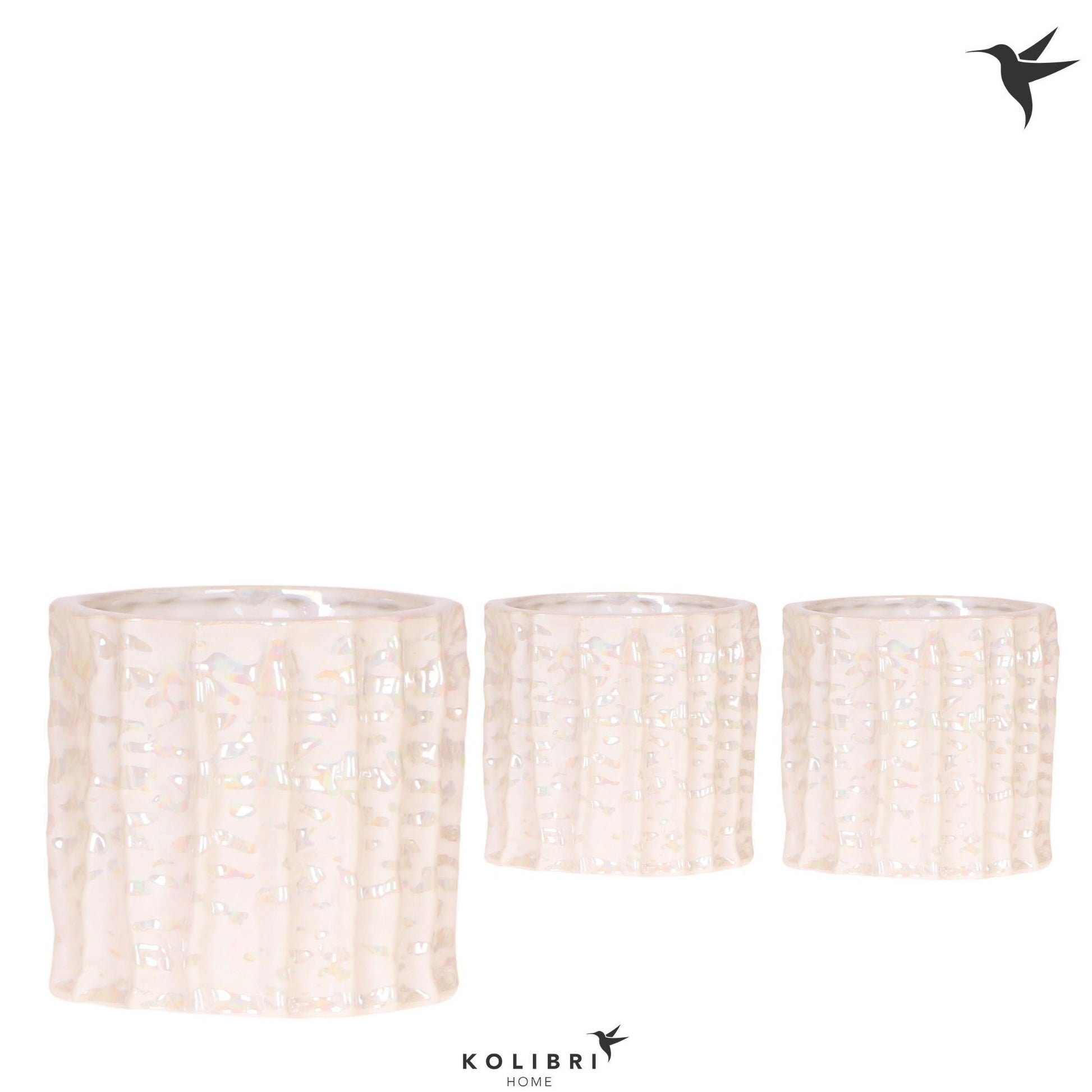 OK Plant Kolibri Home Oyster pot Pack of 6