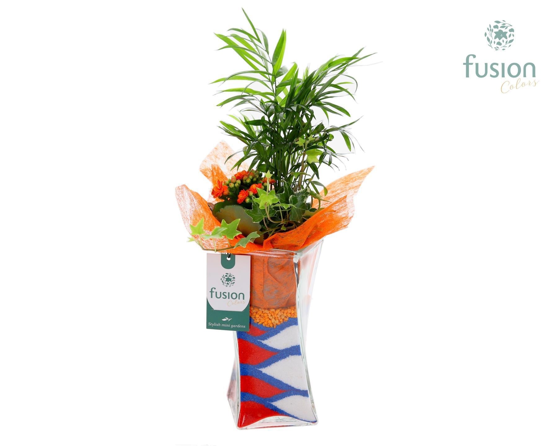 Glazen Twistervaas met Arrangement 43cm 10cm Pot