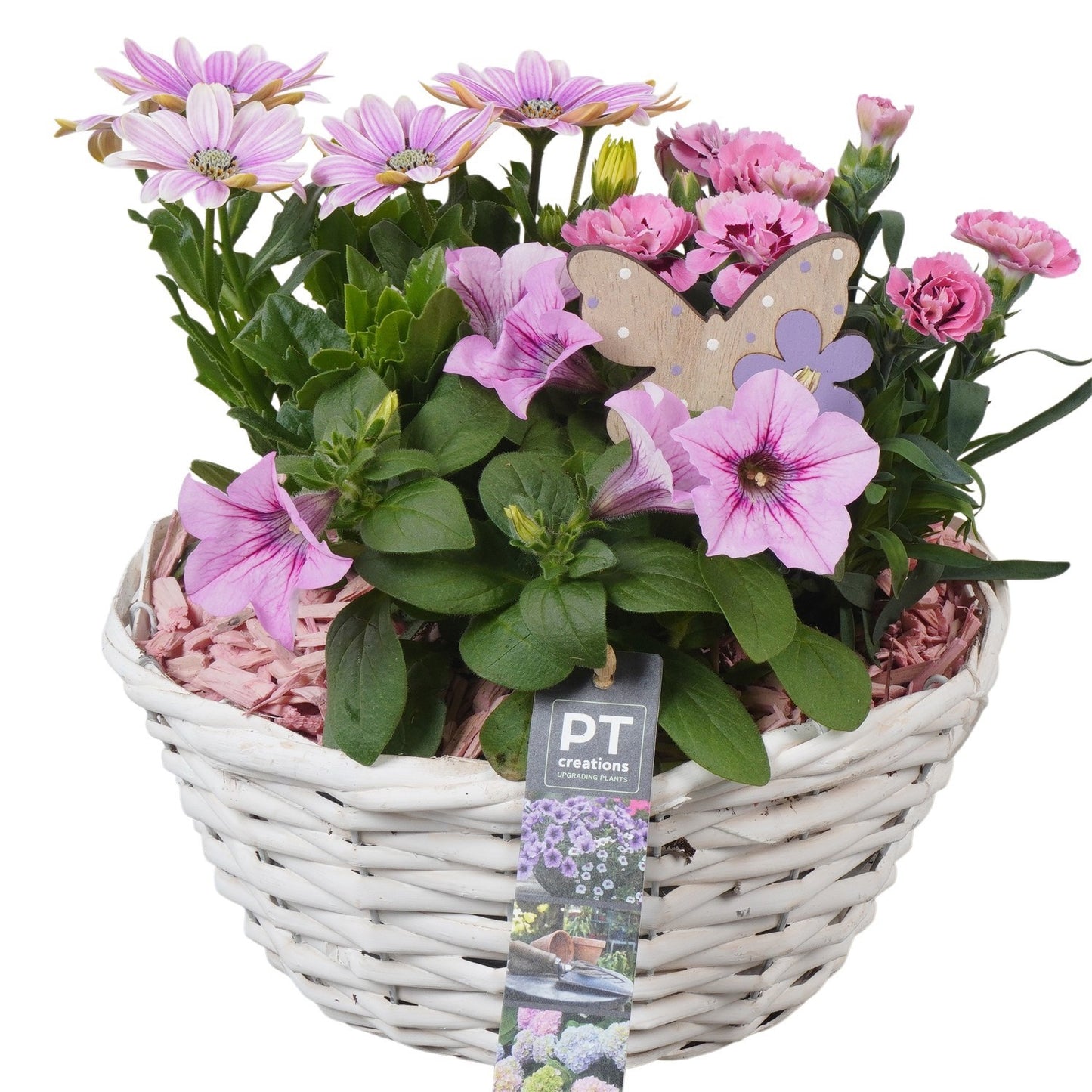 Outdoor arrangement 27cm 24cm Pot