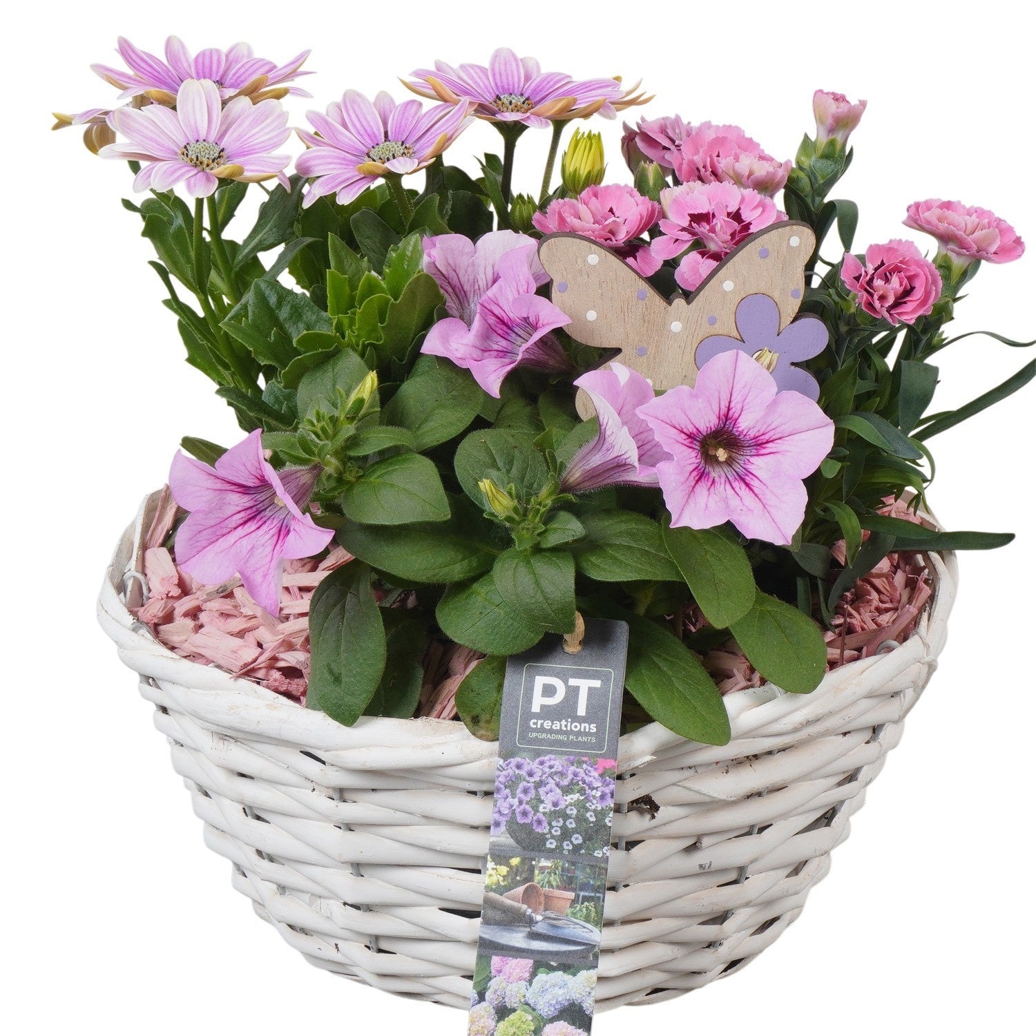 Outdoor arrangement 27cm 24cm Pot