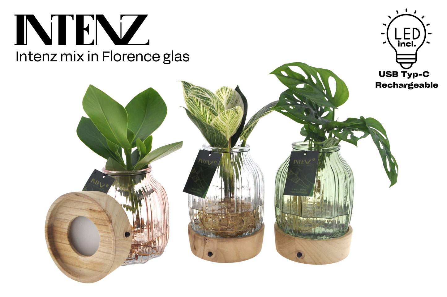 Intenz mix in florence glas + led 30cm 12cm Pot