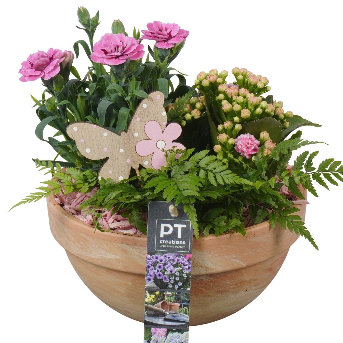 Outdoor arrangement 22cm 19cm Pot