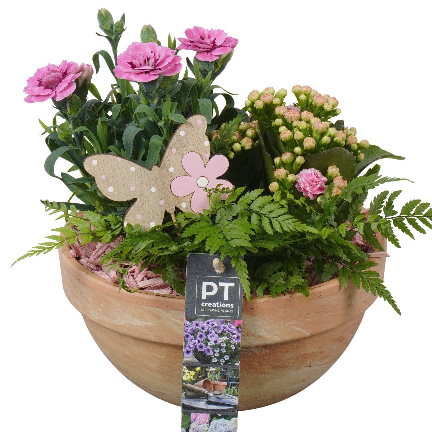 Outdoor arrangement 22cm 19cm Pot