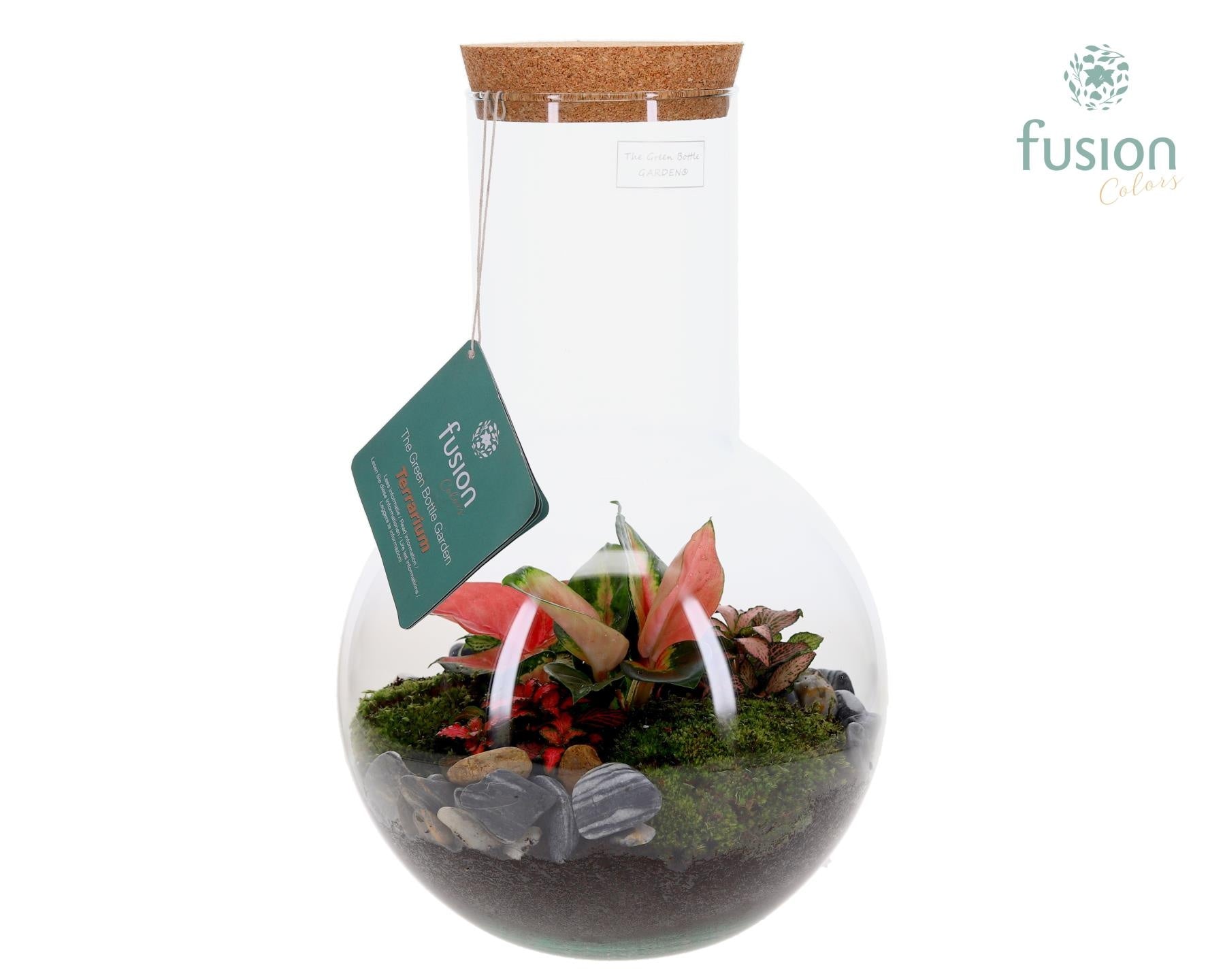 Fusioncolors BV Green Bottle Suzanne Large met Terrarium arrangement Pack of 2