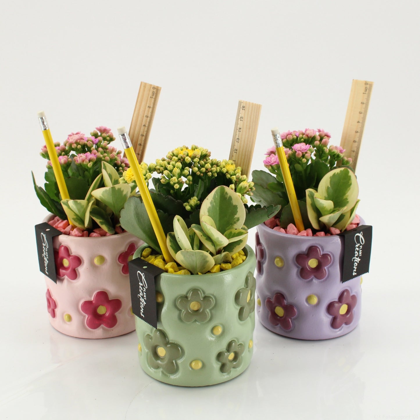 SSCR-2606 School Creations 25cm 11cm Pot