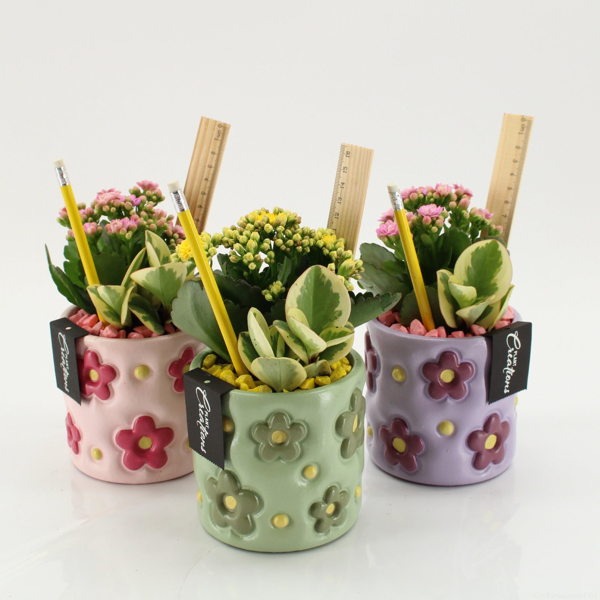 SSCR-2606 School Creations 25cm 11cm Pot