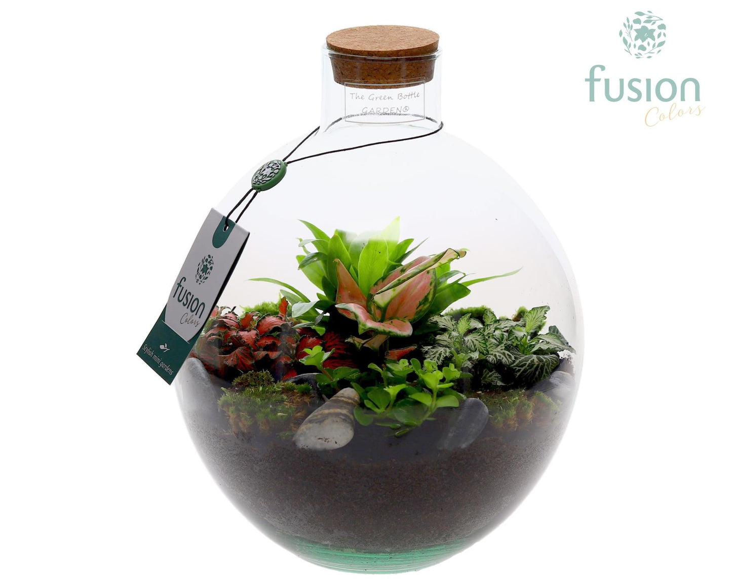 Terrarium Okaido Medium met arrangement 5pp 25cm 23cm Pot