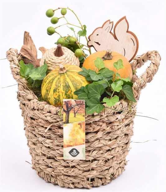 arr. Sierfruit 19cm Pot