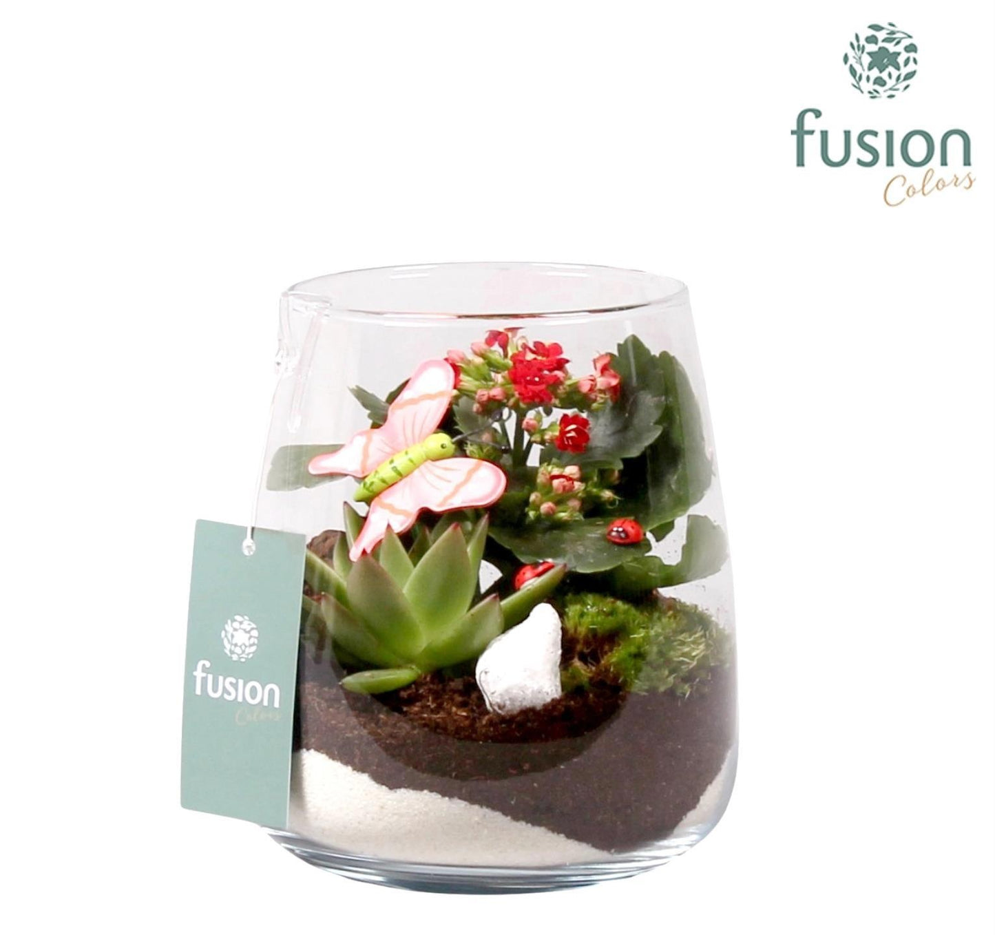 Fusioncolors BV Glas Alzada klein met arrangement 2pp en vlinders Pack of 6