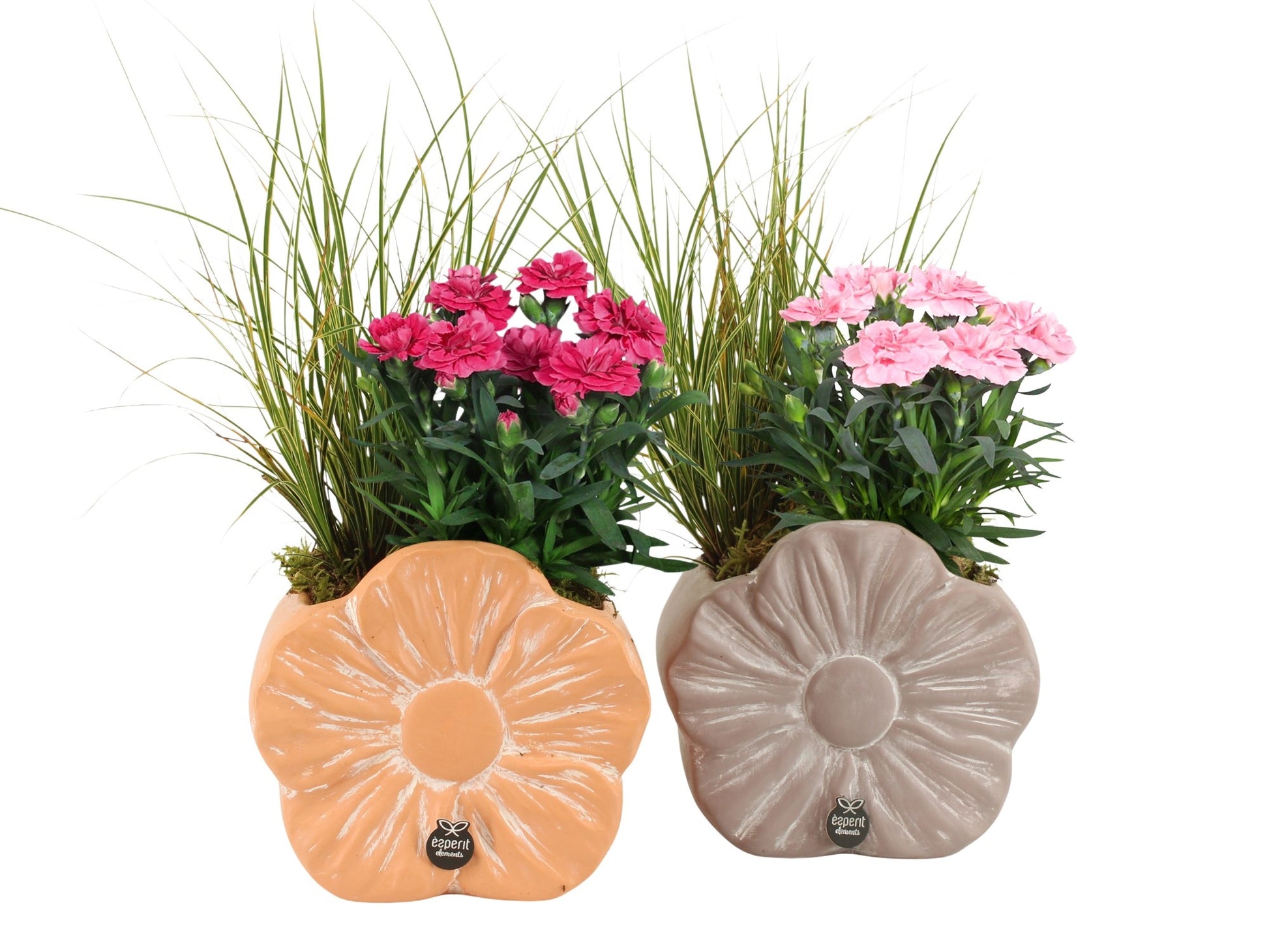 Outdoor arrangement 27cm 17cm Pot
