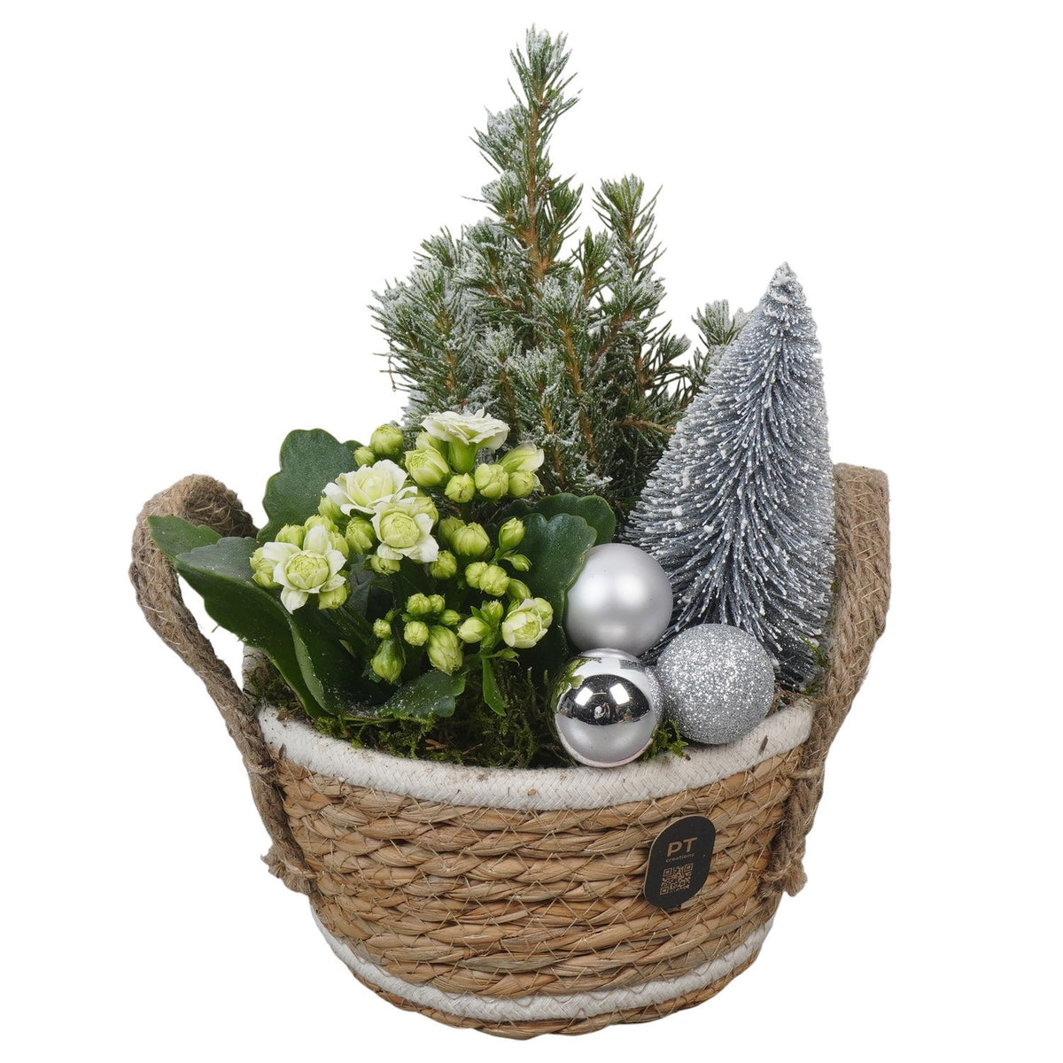 Christmas arrangement 26cm 15cm Pot