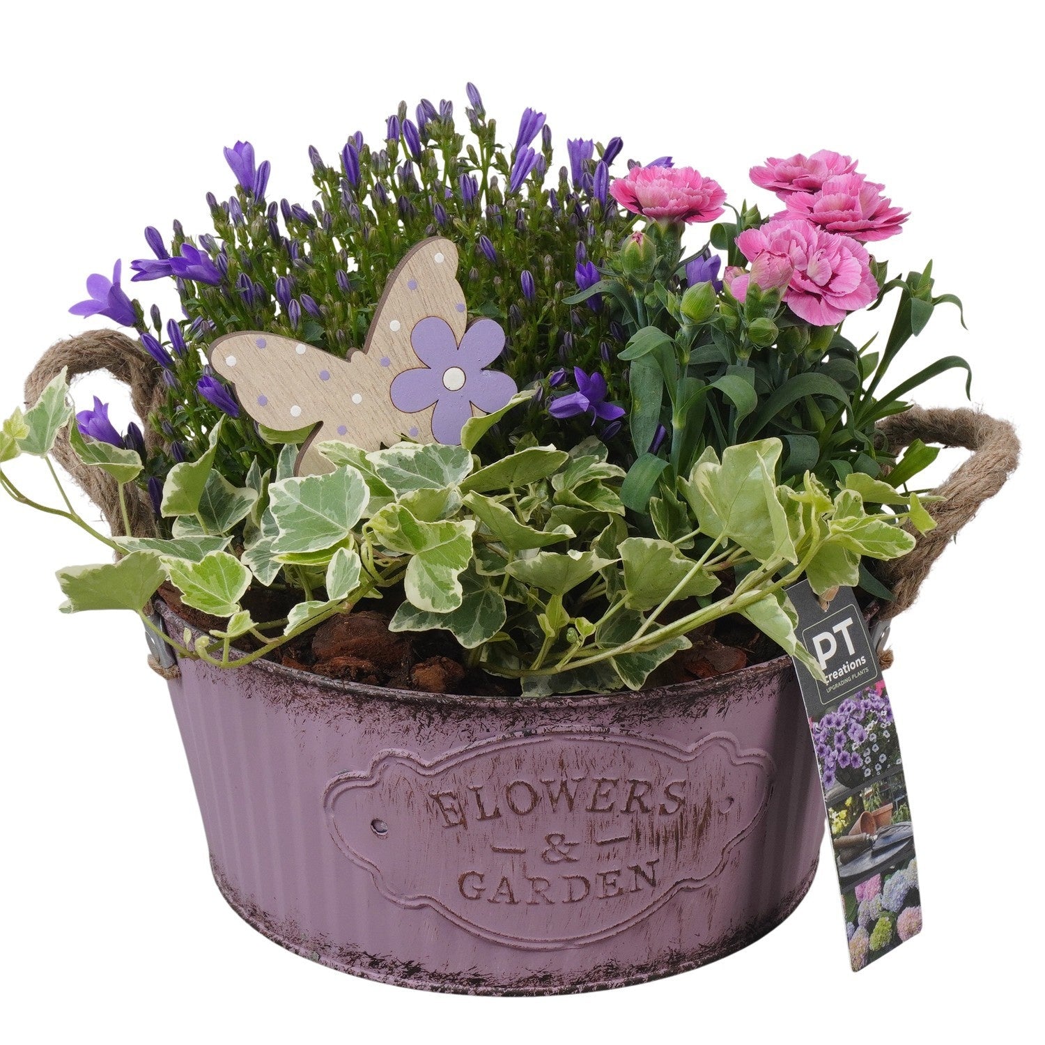 Outdoor arrangement 22cm 22cm Pot