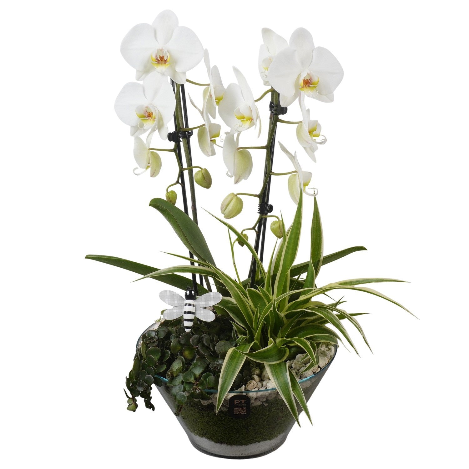 Indoor arrangement 55cm 26cm Pot