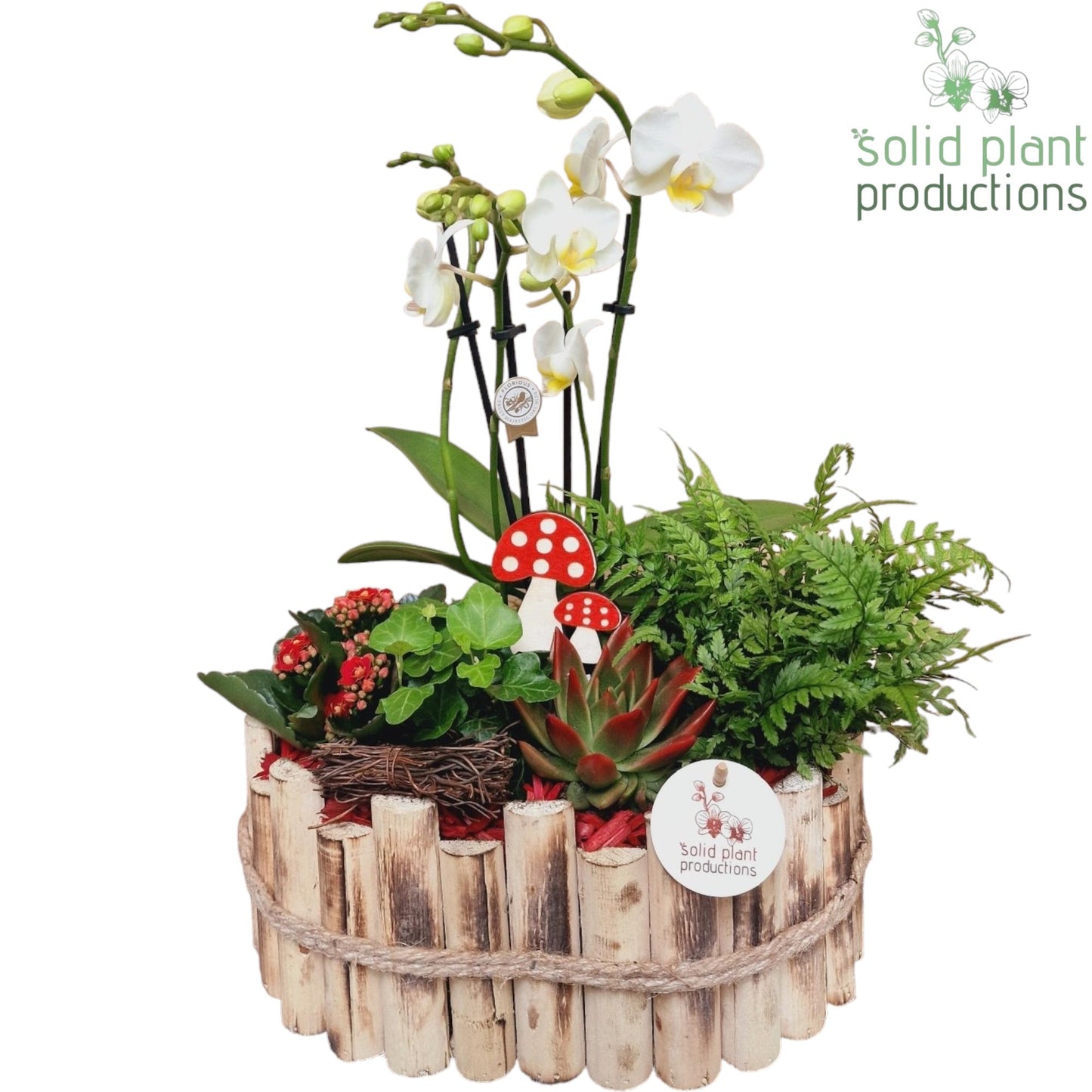 HPE007 Bologna Large Autumn Red 45cm 30cm Pot