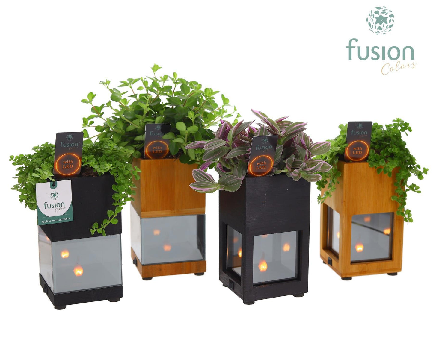 Fusioncolors BV Houten LED planter met vlam met Groen plant mix Pack of 6