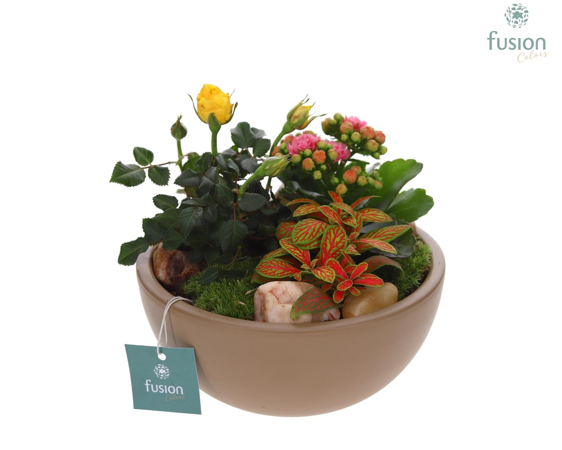 Schaal keramiek Moon Medium beige met arrangement 20cm 18cm Pot