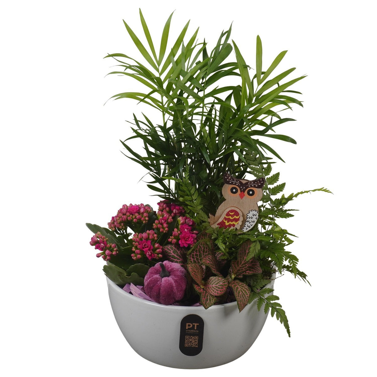 Indoor arrangement 35cm 18cm Pot