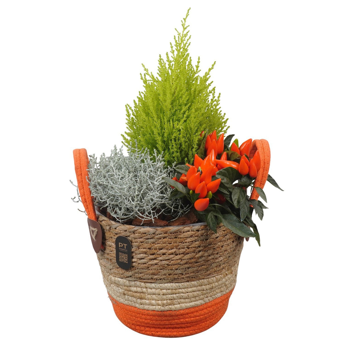 Outdoor arrangement 44cm 21cm Pot