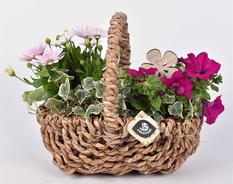Outdoor arrangement 29cm Pot