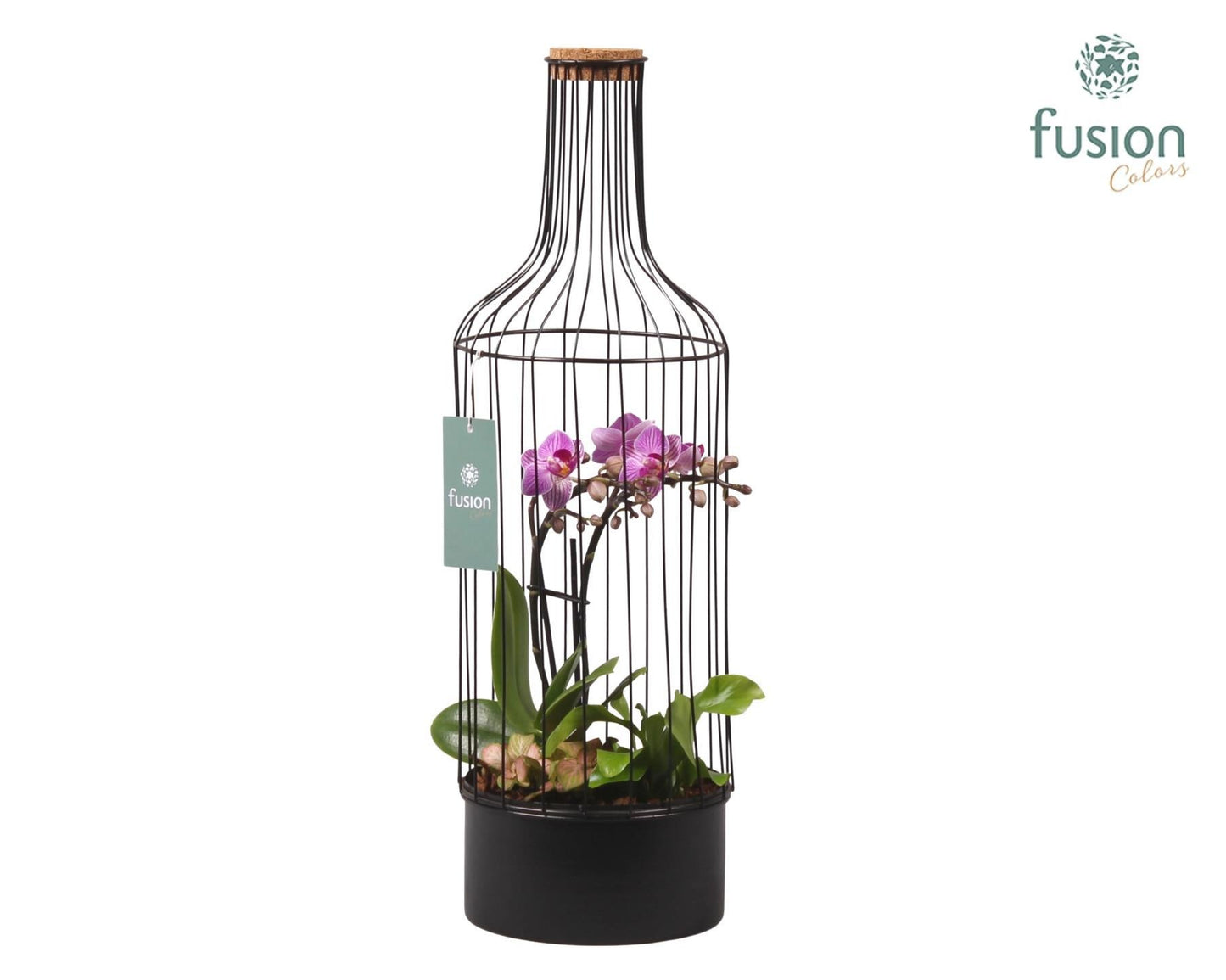 Fusioncolors BV Metaal fles zwart Large met Phalaenopsis Arrangement Pack of 6