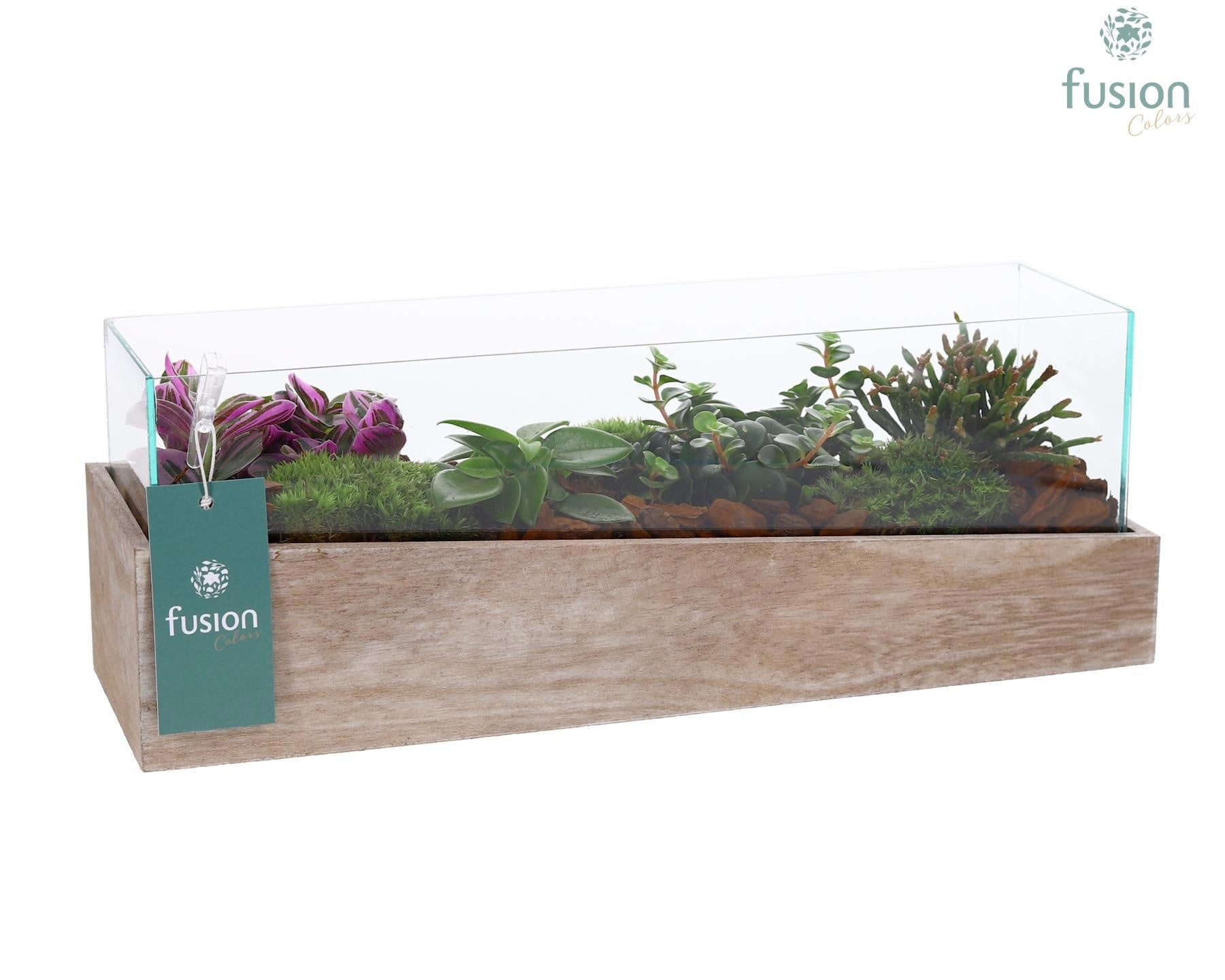 Aquarium Medium met Groene Planten 15cm 38cm Pot