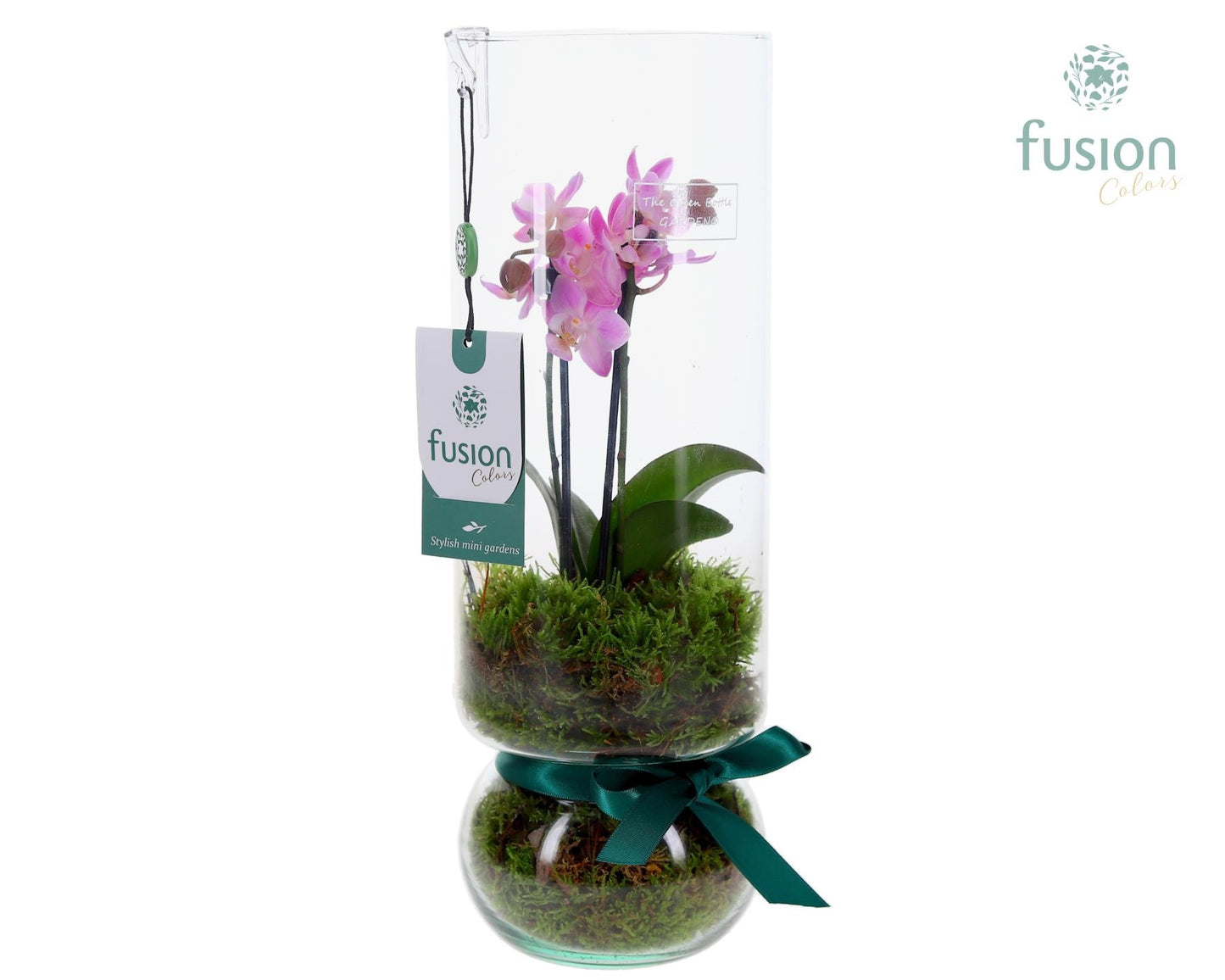 Fusioncolors BV Green Bottle Angelica Large met Phalaenopsis Pack of 6