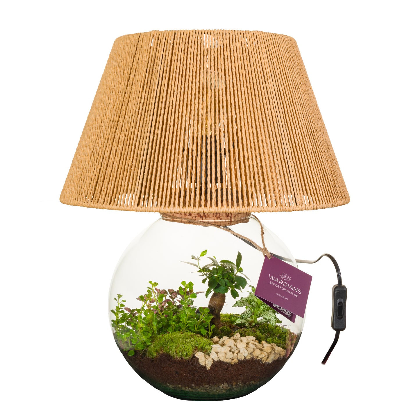 Wardians Wardians Terrarium - Moonlight + LED bulp (wired 220V) Pack of 1