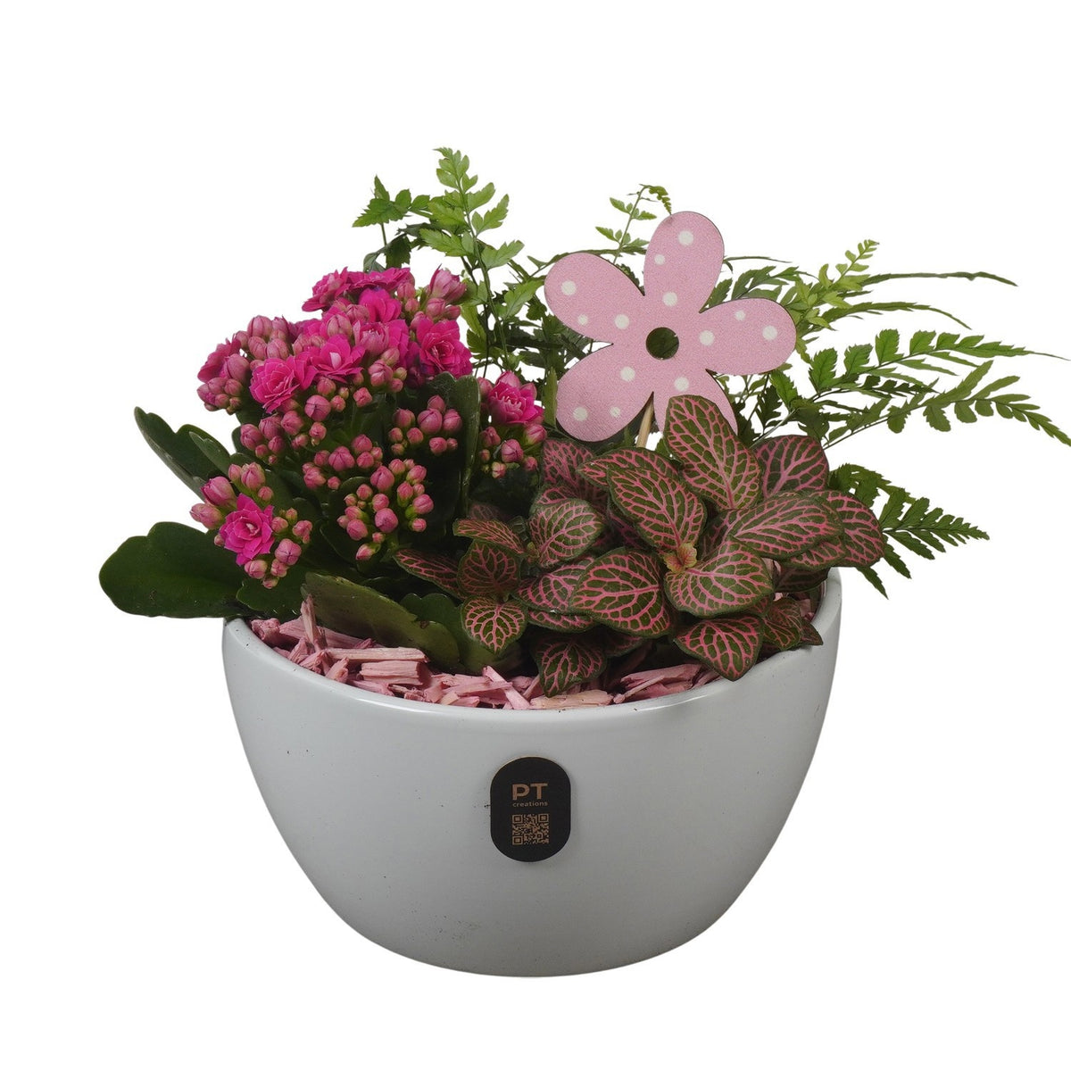 Indoor arrangement 18cm 16cm Pot