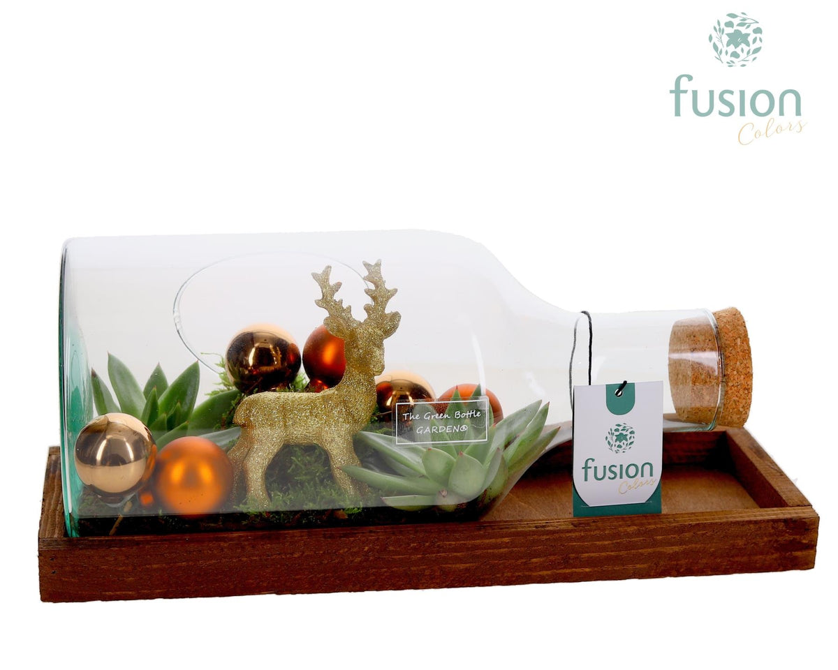 Green Bottle Fles Small liggend Kerst met Arrangement 20cm 38cm Pot