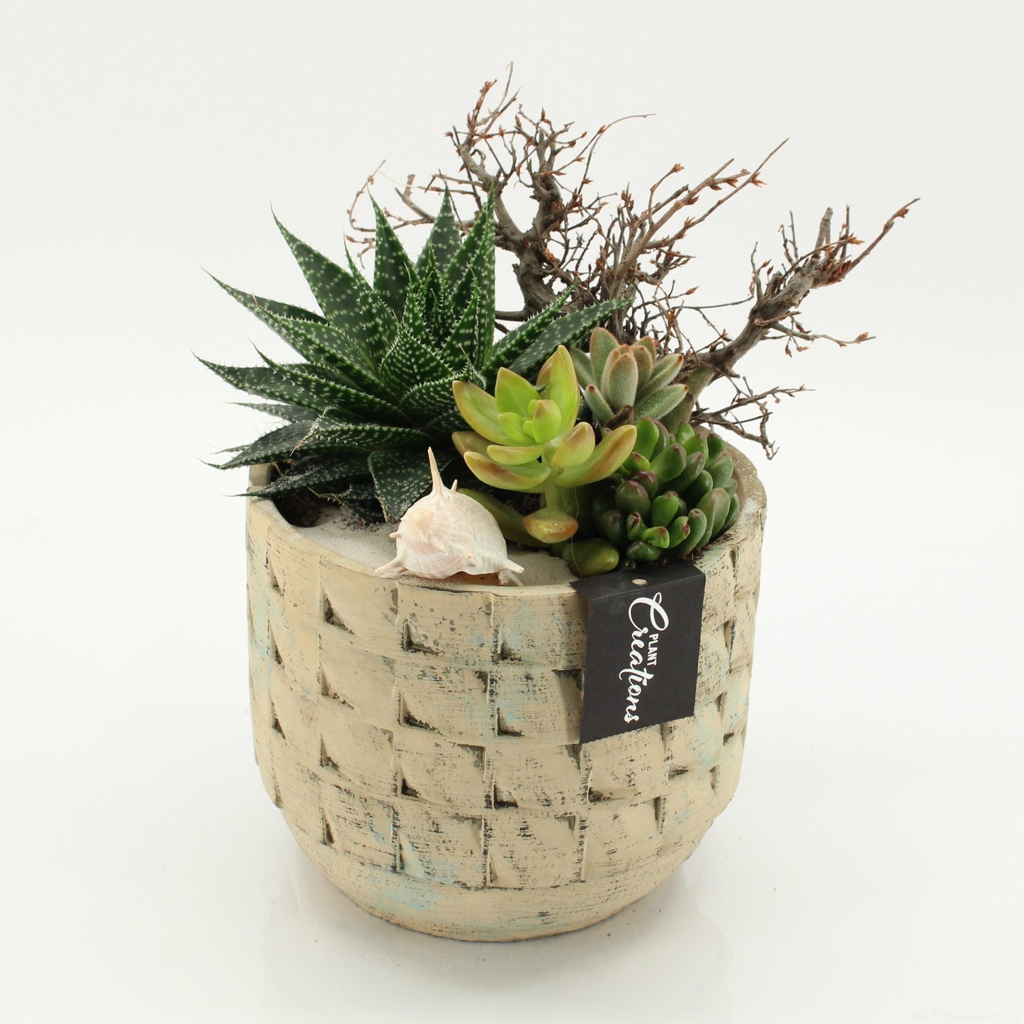 Indoor green arrangement 25cm 17cm Pot