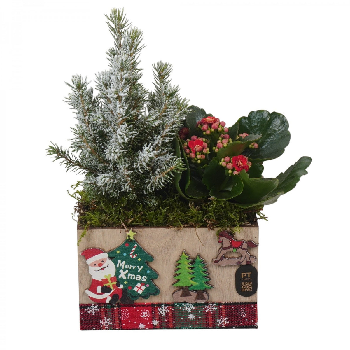 Christmas arrangement 27cm 15cm Pot