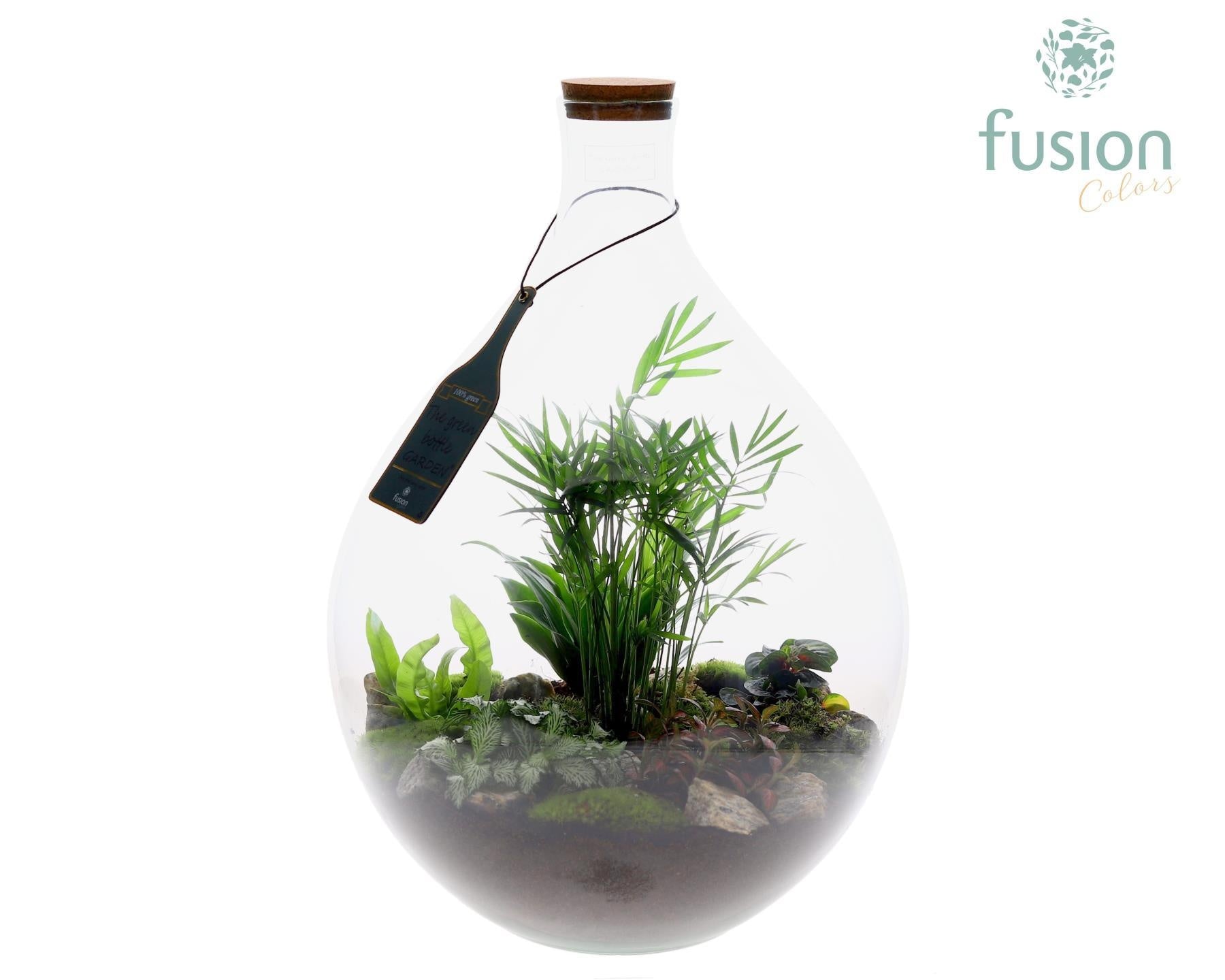 Fusioncolors BV Green Bottle Gallon met Arrangement groene planten 6pp Pack of 1