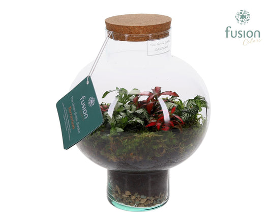 Green Bottle Laura Small met Terrarium arrangement 25cm 19cm Pot