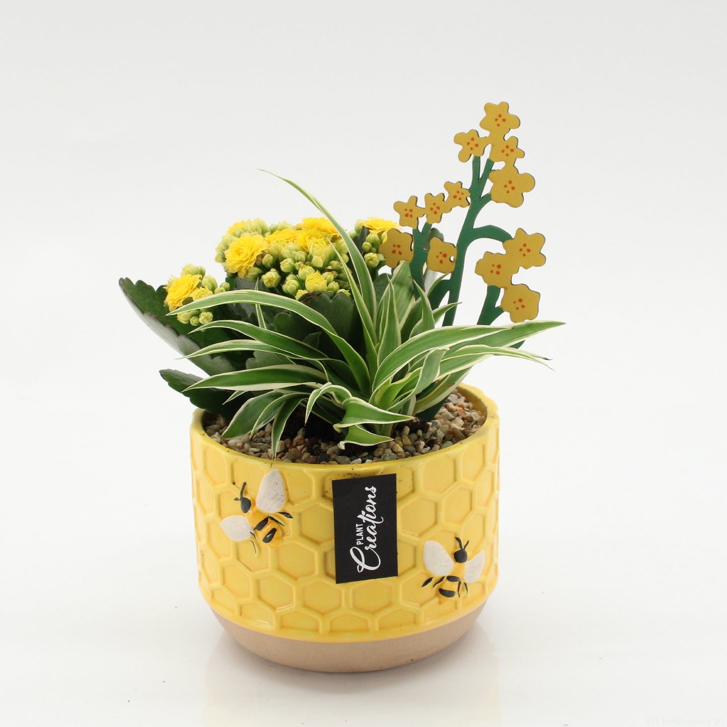 ESCR-2636 Essentials 20cm 12cm Pot