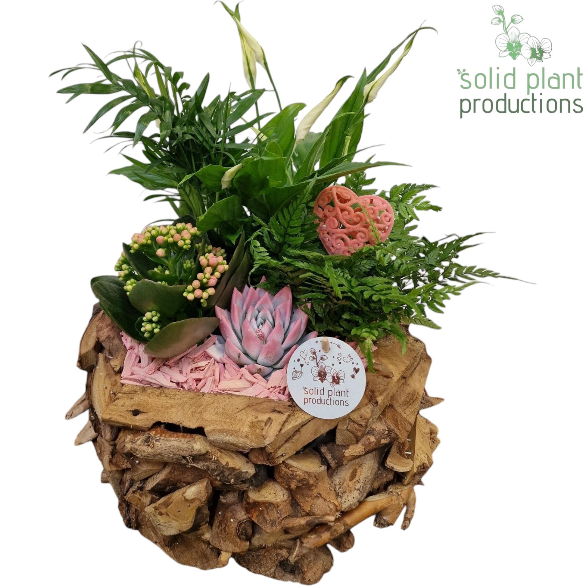 SCE013 Driftwood Round Pink Love 45cm 31cm Pot