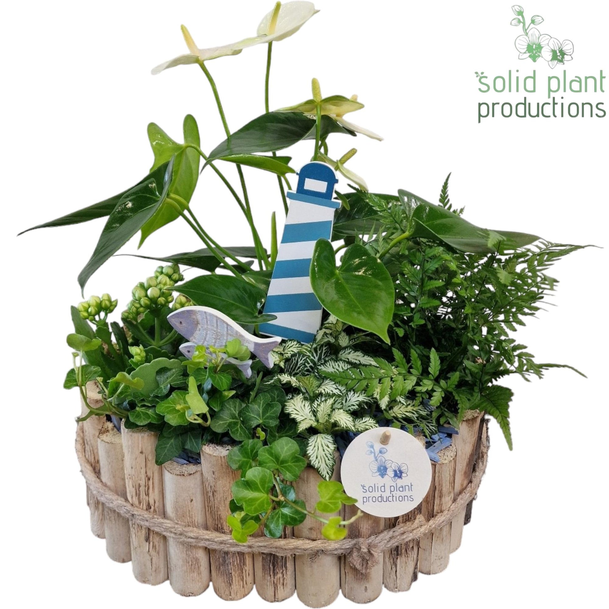 HAT007 Bologna Large Maritiem 40cm 30cm Pot