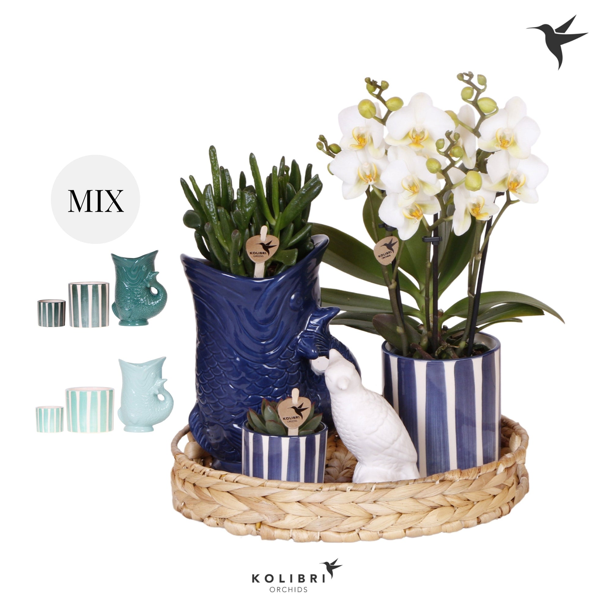 Kolibri Gift Set Mediterranean Sunset blue green mix 40cm 30cm Pot