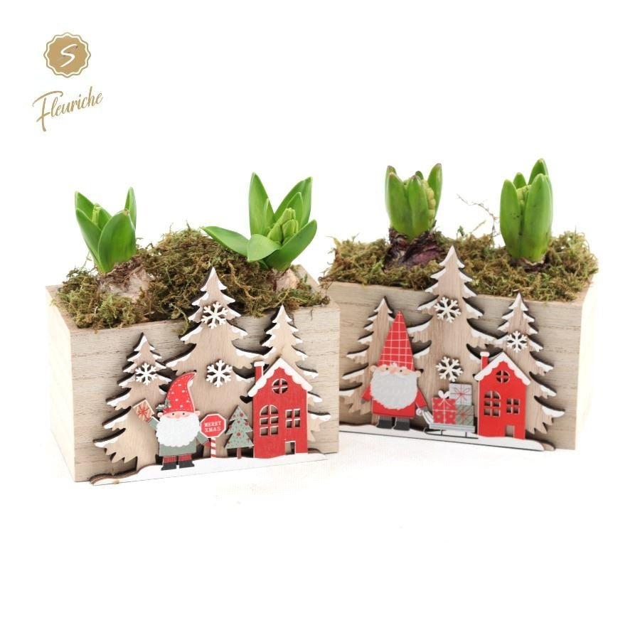 arr. Hya. happy santa family 2910 15cm 16cm Pot