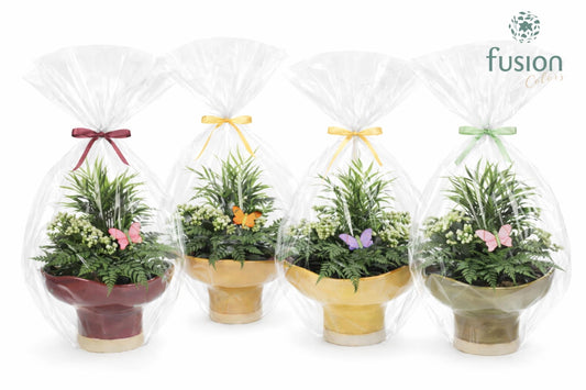 Keramiek schaal op voet Large met Voorjaar Arrangement in klaphoes 43cm 19cm Pot
