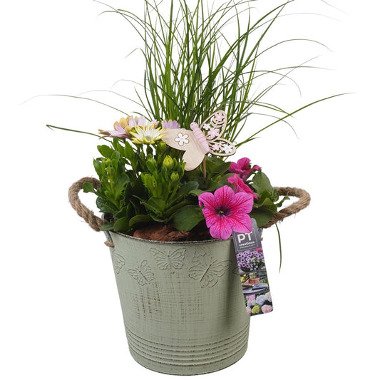 Outdoor arrangement 51cm 19cm Pot