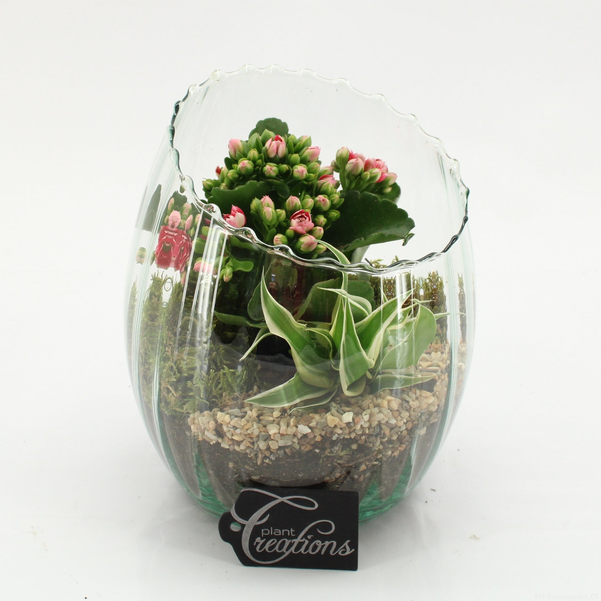 ESCR-2626RZ Essentials 20cm 16cm Pot
