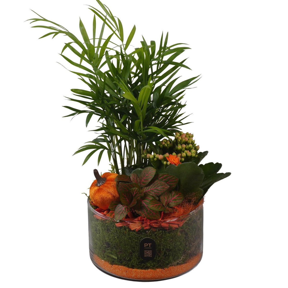 Indoor arrangement 33cm 15cm Pot