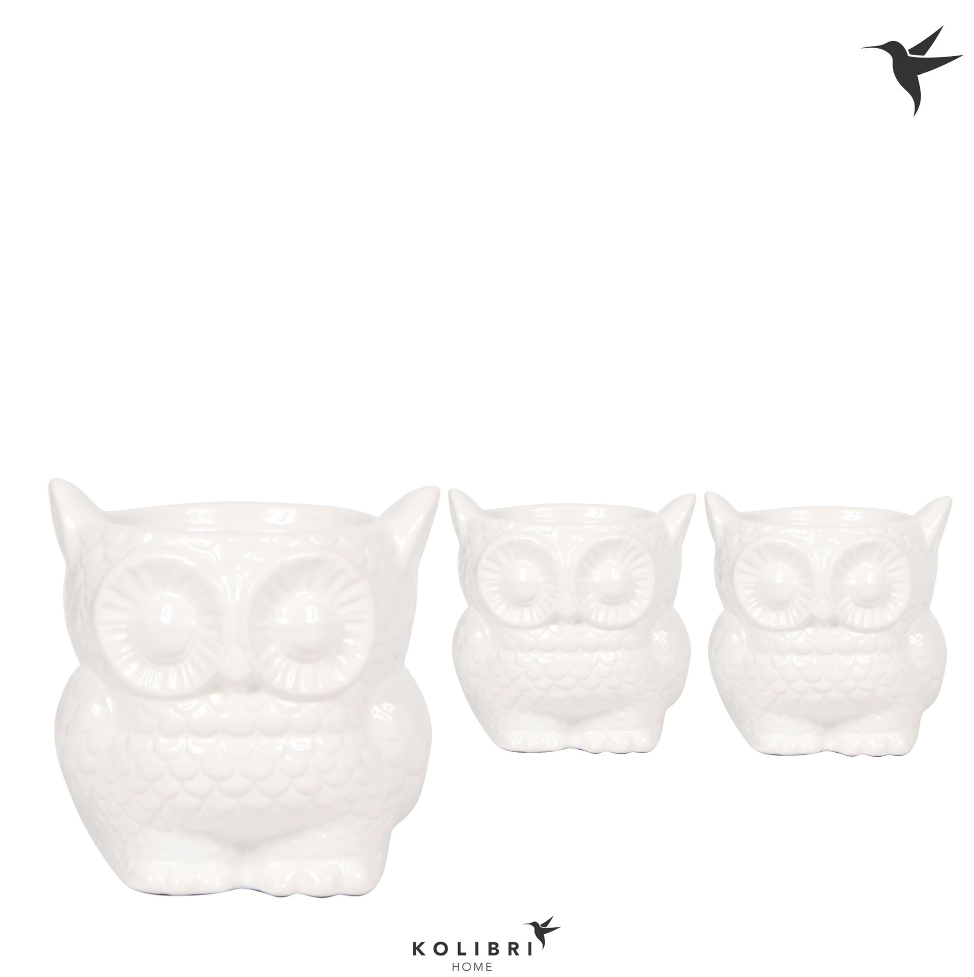 OK Plant Kolibri Home Owl pot white Pack of 6