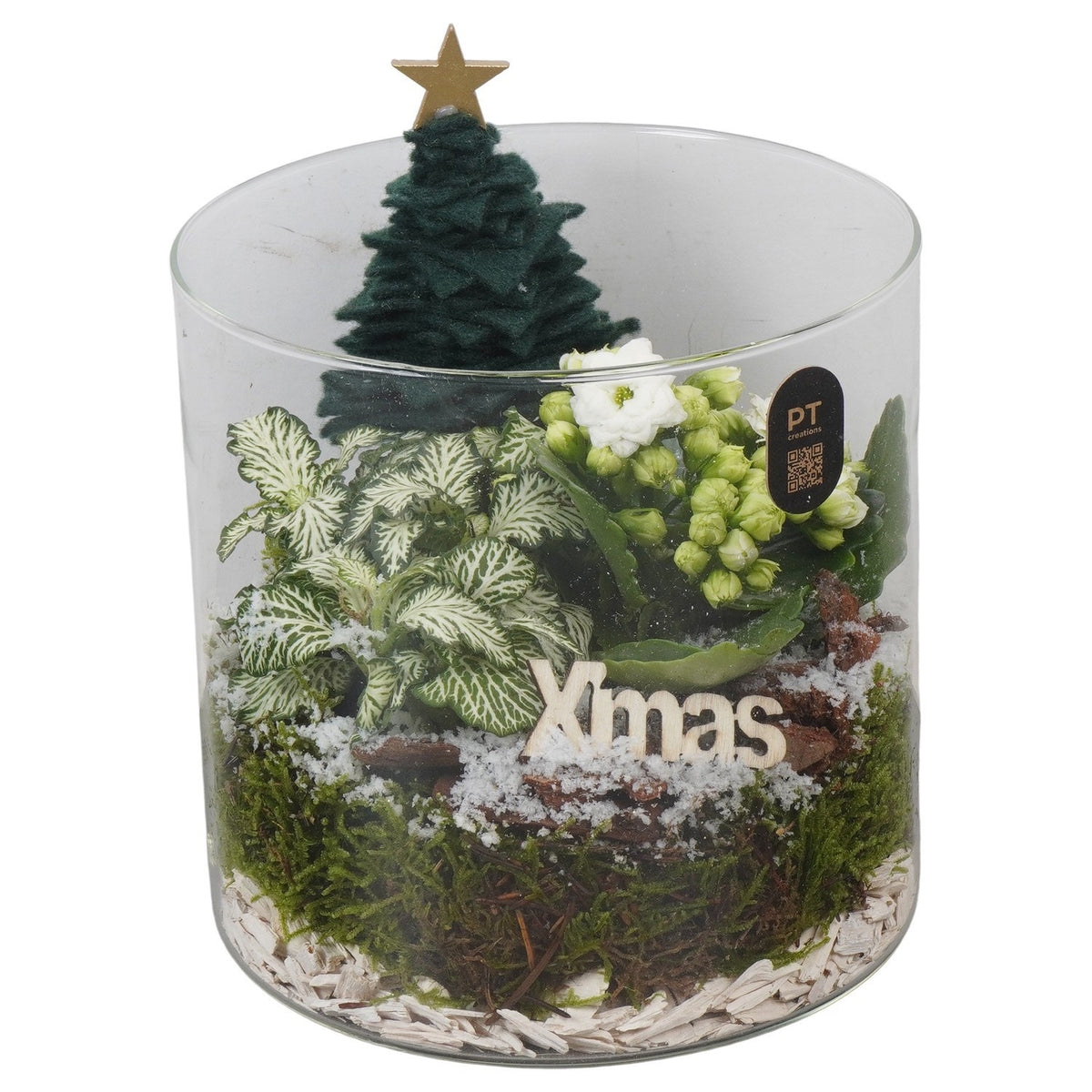 Christmas arrangement 18cm 15cm Pot