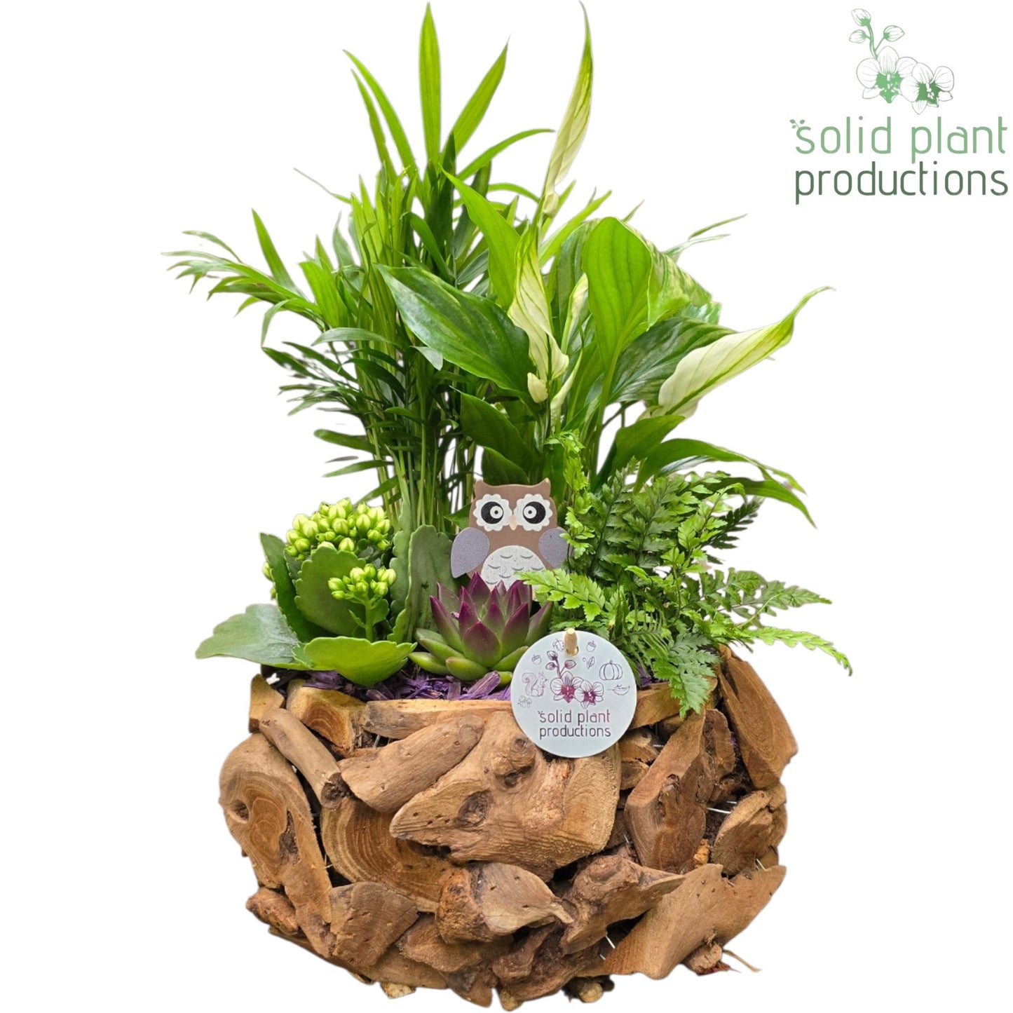 SCE013 Driftwood Round Purple Autumn 45cm 31cm Pot